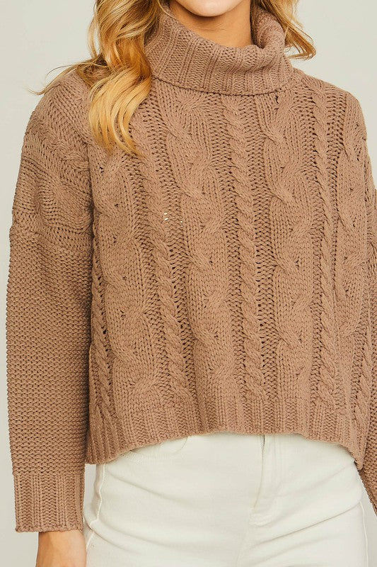 Love Tree Turtle Neck Cable Knit Sweater