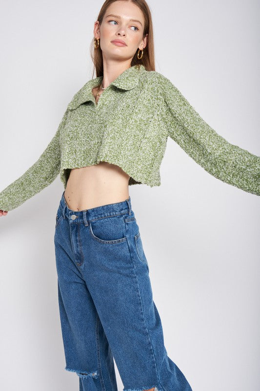 Emory Park LONG SLEEVE COLLARED CROP TOP