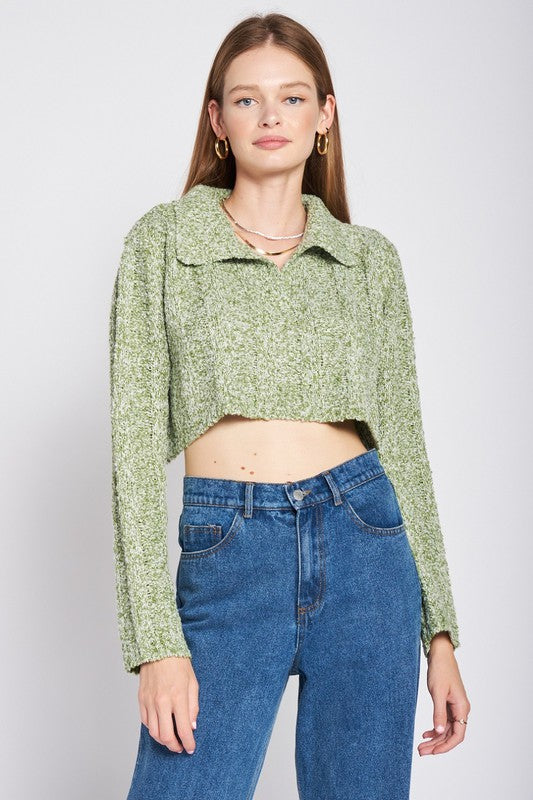 Emory Park LONG SLEEVE COLLARED CROP TOP