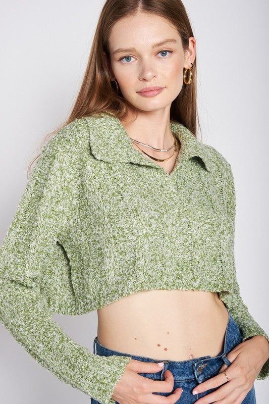 Emory Park LONG SLEEVE COLLARED CROP TOP