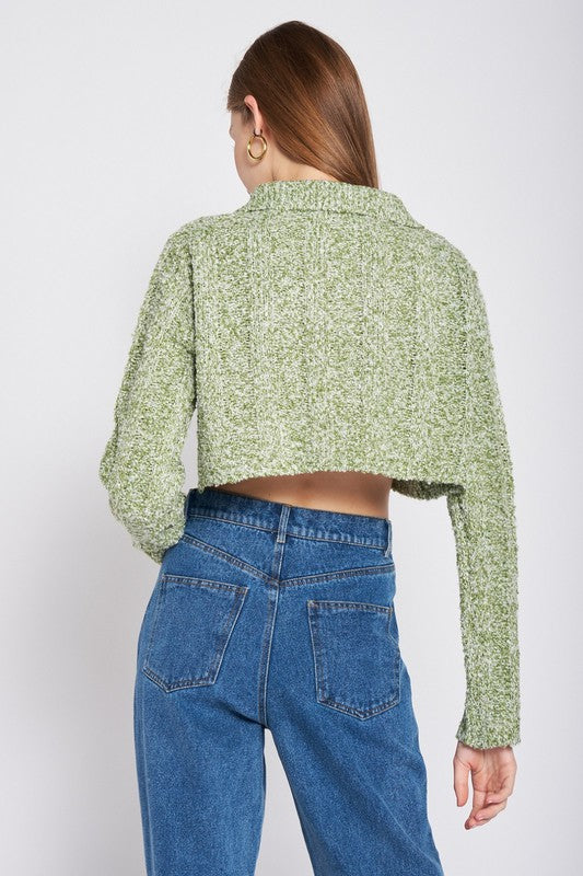 Emory Park LONG SLEEVE COLLARED CROP TOP