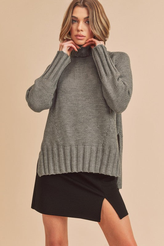 Aemi + Co Danica Turtle Neck Sweater