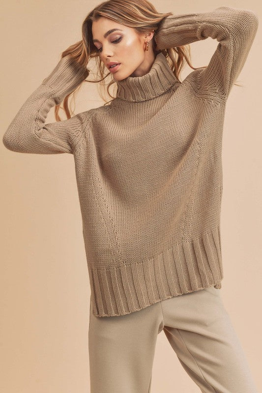 Aemi + Co Danica Turtle Neck Sweater