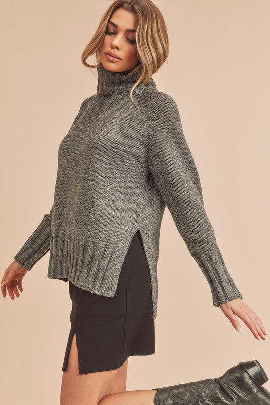 Aemi + Co Danica Turtle Neck Sweater