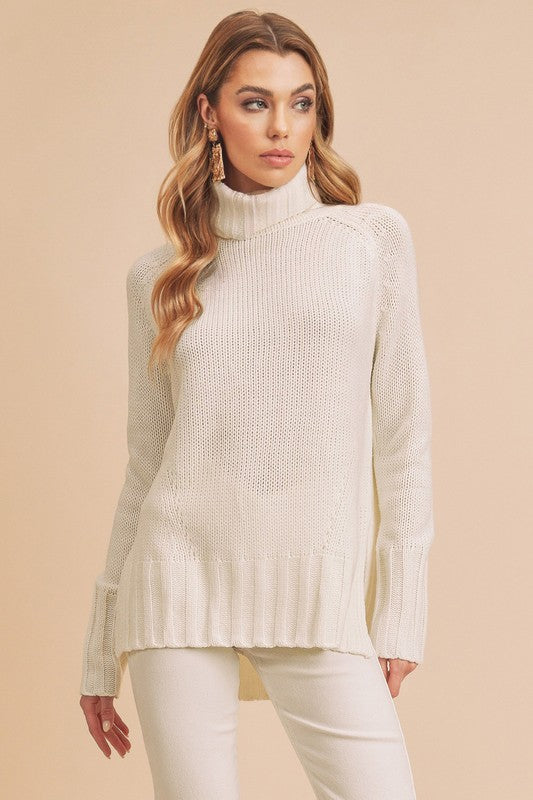 Aemi + Co Danica Turtle Neck Sweater