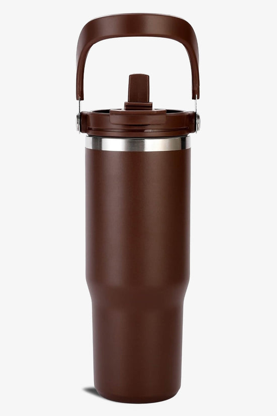 30 oz 2 in 1 Lid and Straw Tumbler with Handle