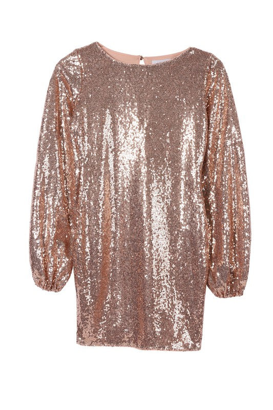 Load image into Gallery viewer, Lilou Sequin mini dress
