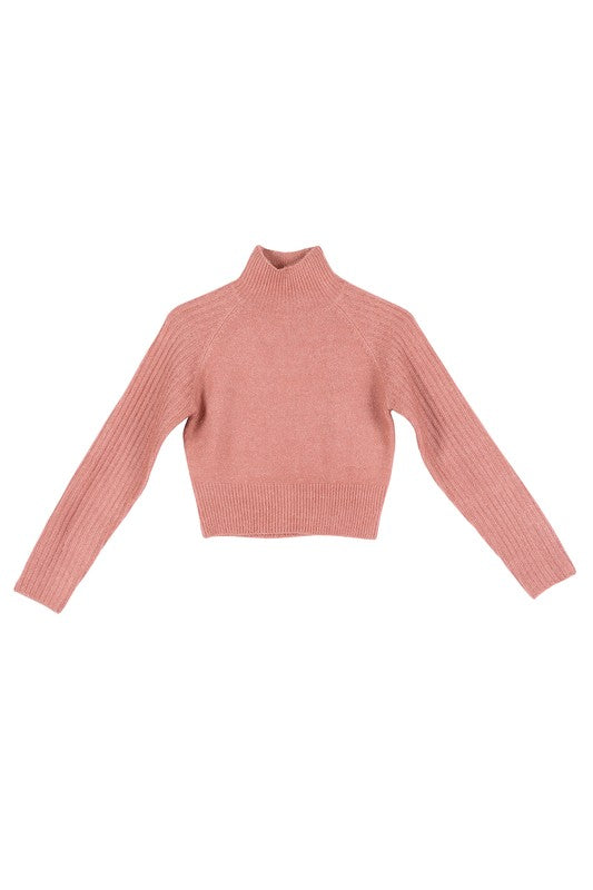 Lilou Crop mock neck sweater