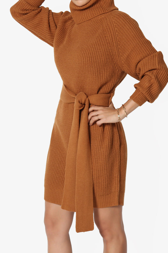 Arkin Turtle Neck Pullover Sweater Mini Dress ALMOND_3