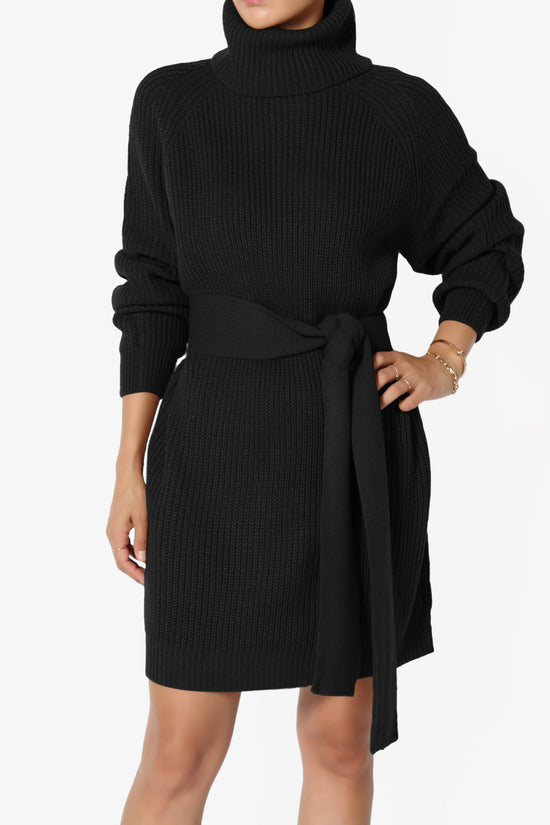 Arkin Turtle Neck Pullover Sweater Mini Dress BLACK_1