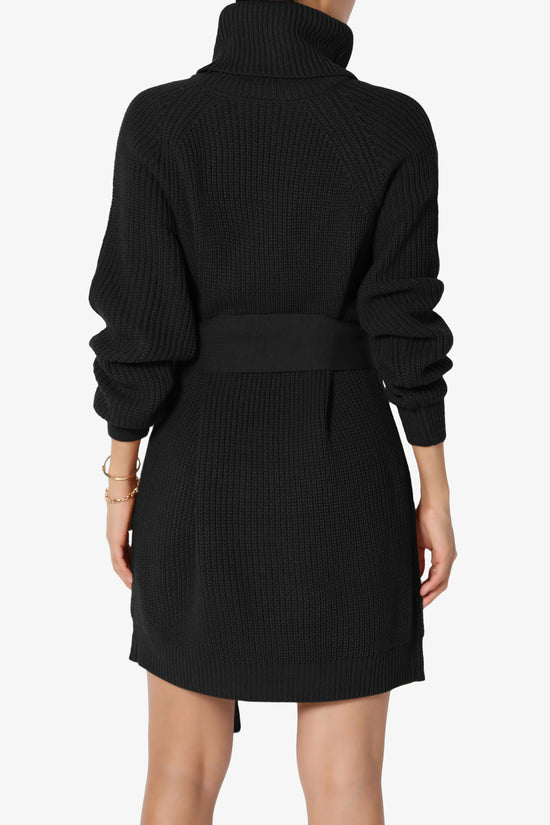 Arkin Turtle Neck Pullover Sweater Mini Dress BLACK_2