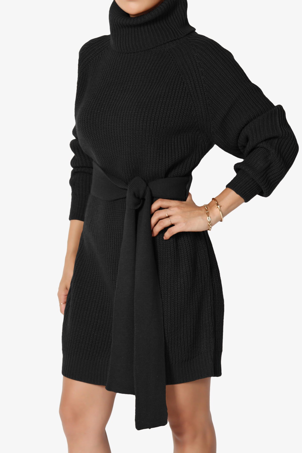 Arkin Turtle Neck Pullover Sweater Mini Dress BLACK_3