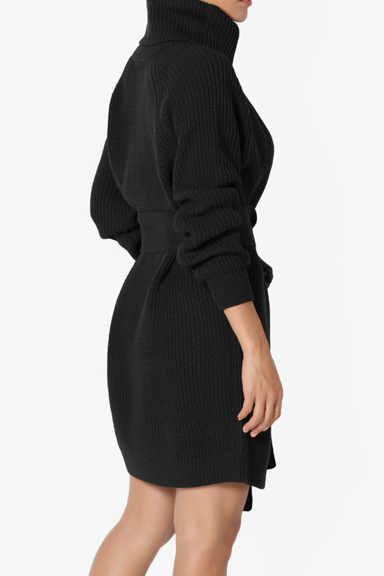 Arkin Turtle Neck Pullover Sweater Mini Dress BLACK_4