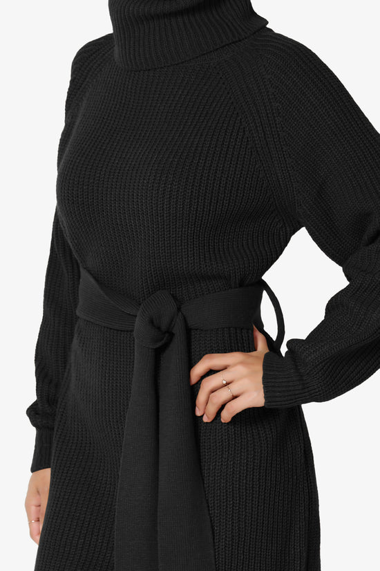 Arkin Turtle Neck Pullover Sweater Mini Dress BLACK_5