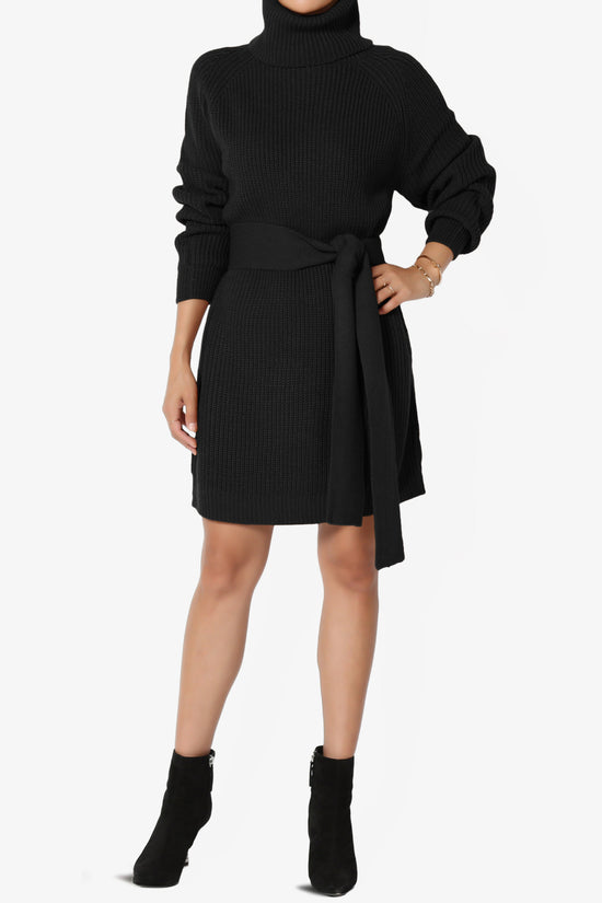 Arkin Turtle Neck Pullover Sweater Mini Dress BLACK_6