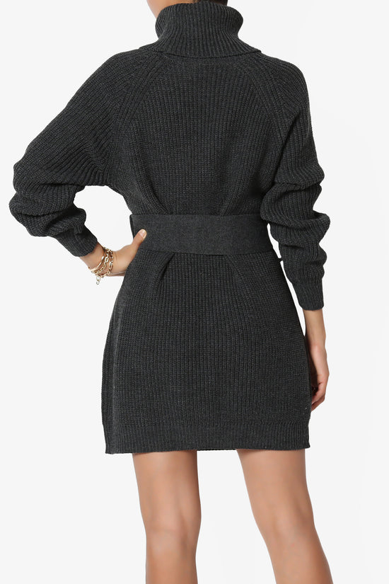Arkin Turtle Neck Pullover Sweater Mini Dress CHARCOAL_2
