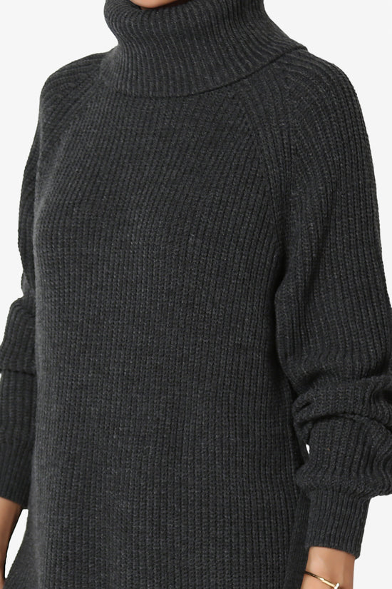 Arkin Turtle Neck Pullover Sweater Mini Dress CHARCOAL_5