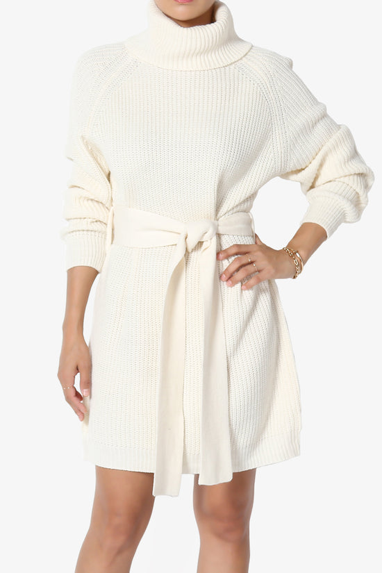 Arkin Turtle Neck Pullover Sweater Mini Dress CREAM_1