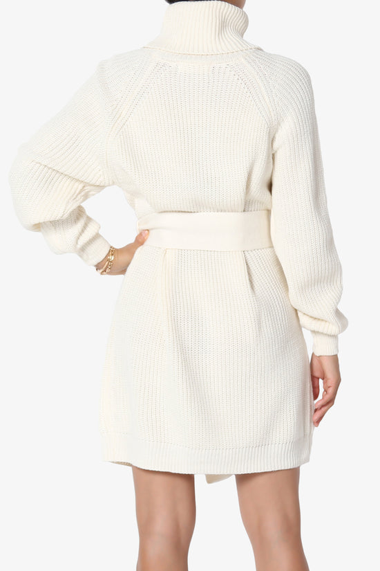 Arkin Turtle Neck Pullover Sweater Mini Dress CREAM_2