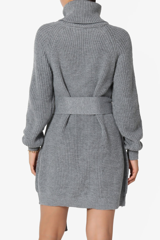 Arkin Turtle Neck Pullover Sweater Mini Dress HEATHER GREY_2