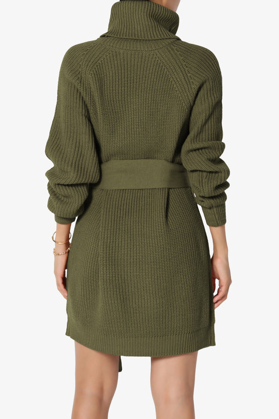 Arkin Turtle Neck Pullover Sweater Mini Dress OLIVE GREEN_2