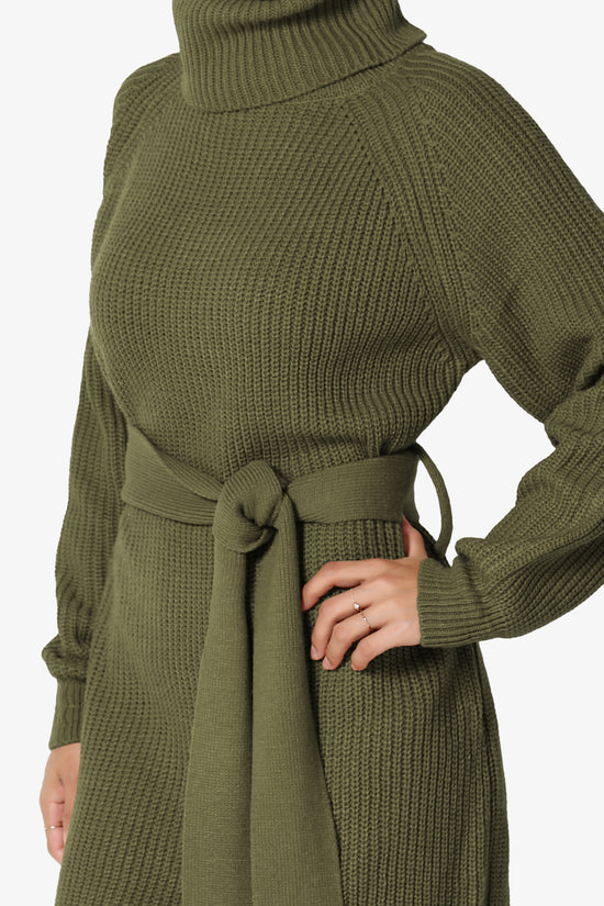 Load image into Gallery viewer, Arkin Turtle Neck Pullover Sweater Mini Dress OLIVE GREEN_5

