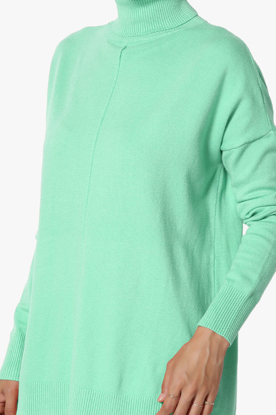 Load image into Gallery viewer, Henley Turtle Neck Knit Sweater MINT_5
